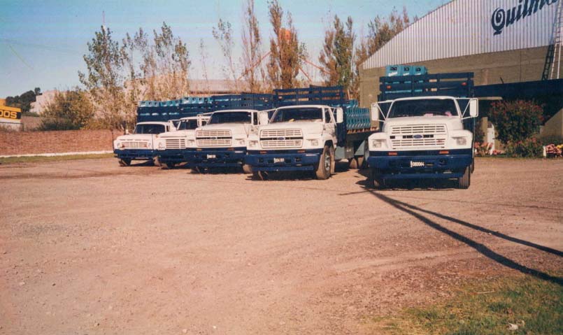 grupo veneroni
